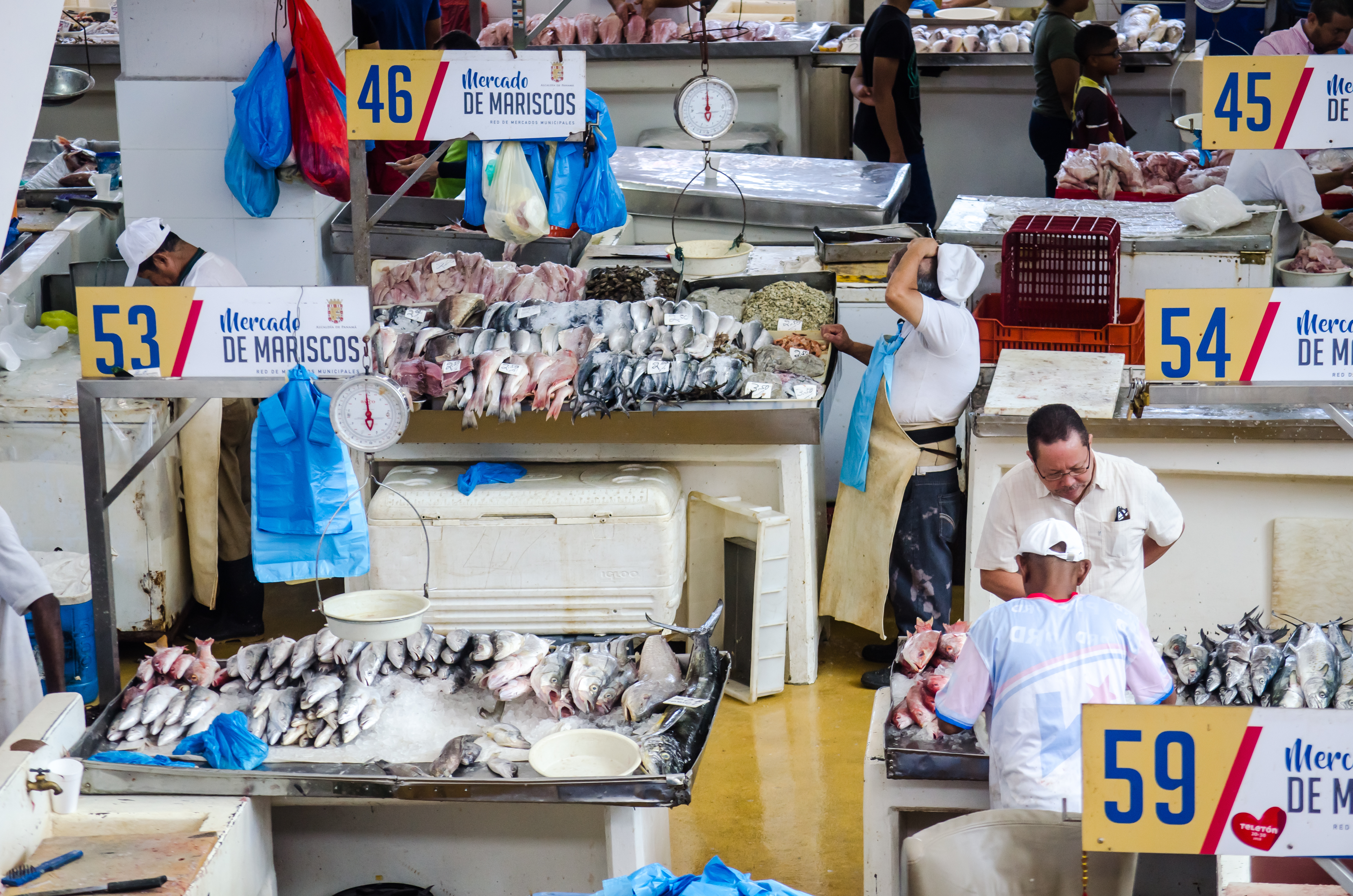 The famous Mercado des Mariscos / fish market in Panama City.