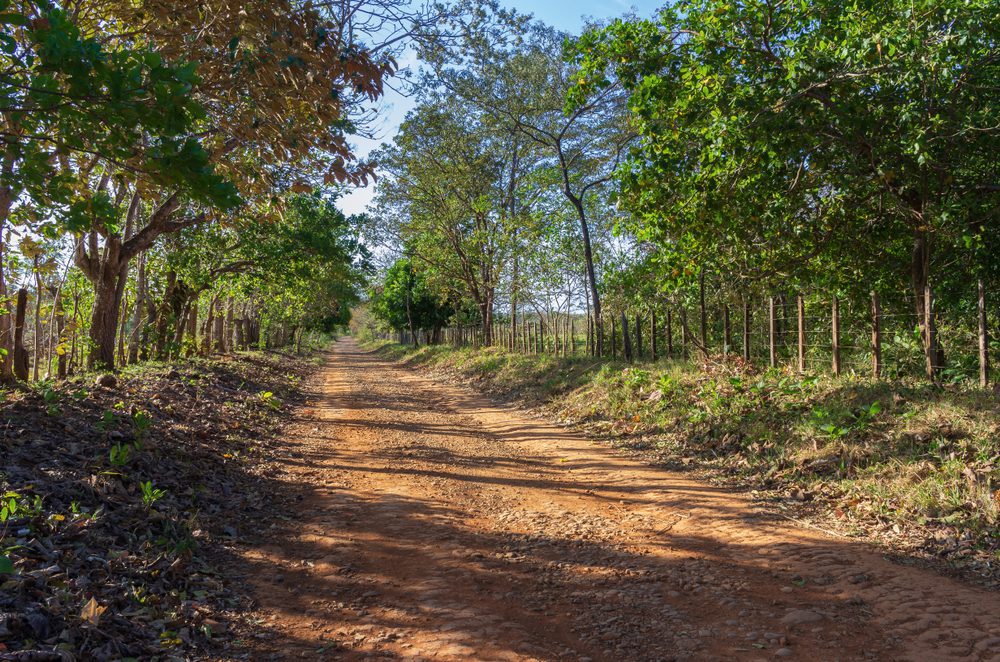 A dirt road leading to a beach along the Pacific coast in western Panama.