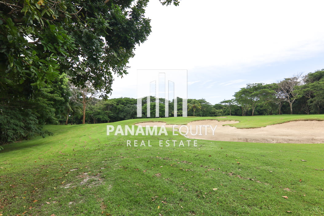 P.H Buenaventura N1 Panama land for sale (18)
